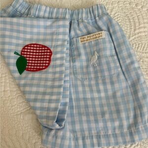 The Beaufort Bonnet Company Blue Gingham Shorts, 3T, Back to School, Apple